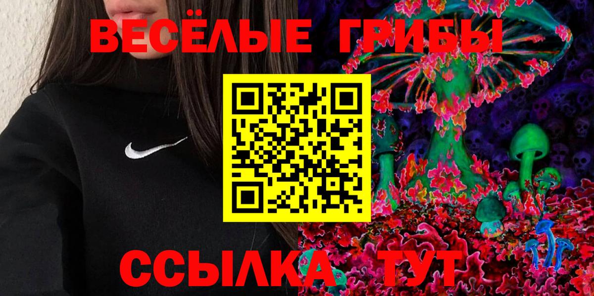где найти наркотики  Псилоцибиновые грибы прущие грибы  Вход с VPN  Псилоцибиновые грибы Psilocybine cubensis  Нефтекамск 